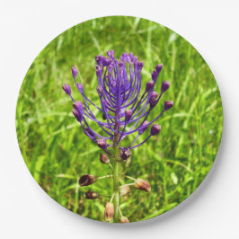 Plato De Papel Placas de papel Tassel-Hyacinth