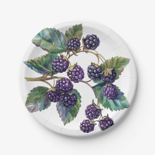 Plato De Papel Placas de papel y Fiesta (Anverso)