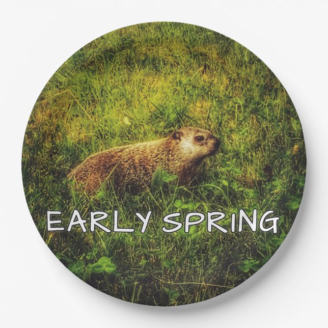 Plato De Papel Placas de primavera temprana (Anverso)