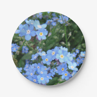 Plato De Papel Placas del fiesta del *Forget-Me-Not*