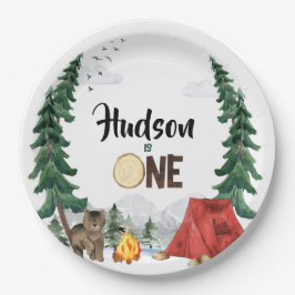 Plato De Papel Placas felices de papel de camper