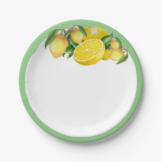 Plato De Papel Placas fiesta (Anverso)