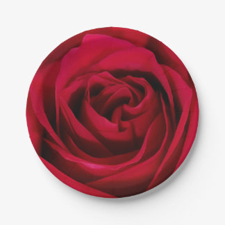 Plato De Papel Placas florecientes hermosas del rosa rojo