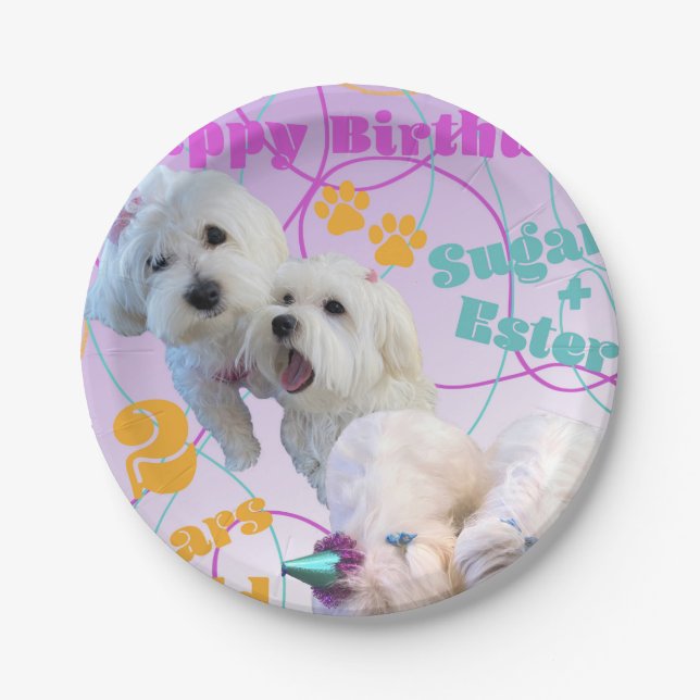 Plato De Papel Placas gemelas maltesas (Anverso)