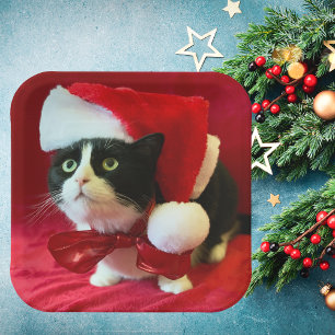 Plato De Papel Placas para Navidades de gatos de Tuxedo