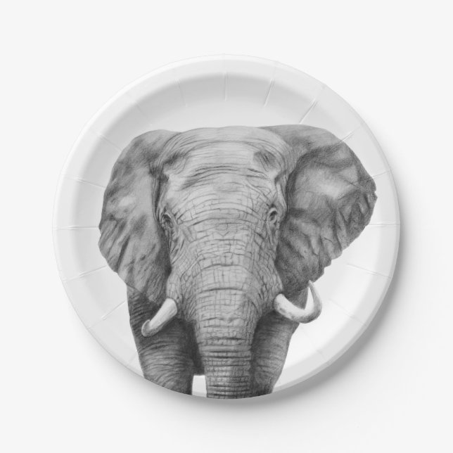 Plato De Papel Plan de respaldo IV (Anverso)