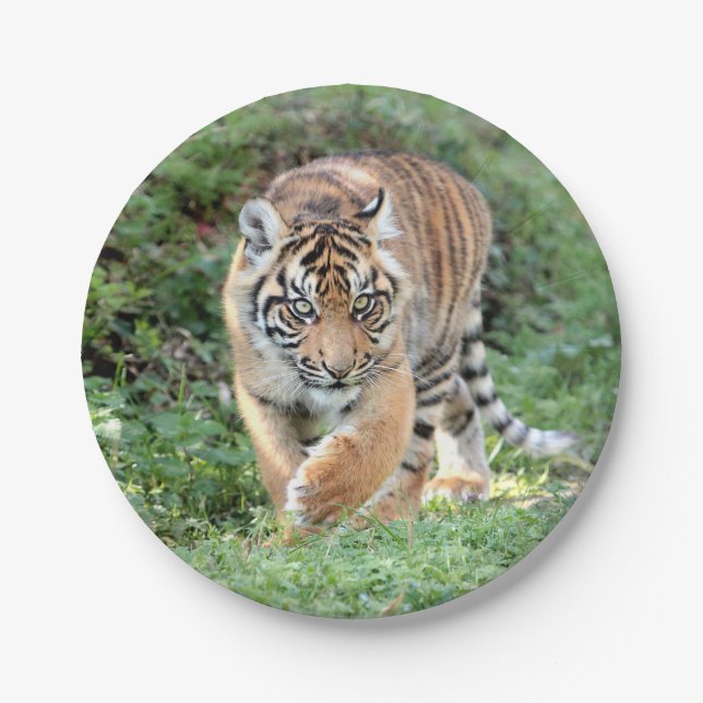 Plato De Papel Plano de papel. Tigre fotográfico 05. Placa de pap (Anverso)