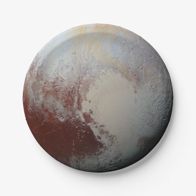 Plato De Papel Planta de plumas (Anverso)