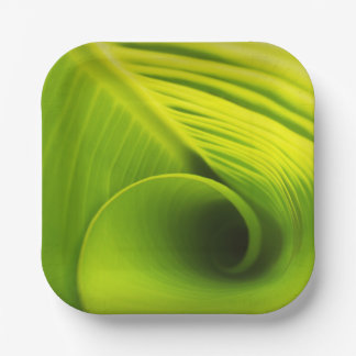 Plato De Papel Plate de papel."Elegancia ecológica: diseño de hoj