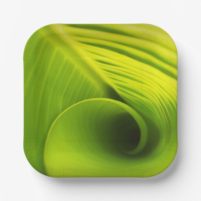 Plato De Papel Plate de papel."Elegancia ecológica: diseño de hoj (Anverso)