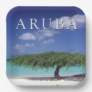 Plato De Papel Playa Eagle   Caribe, Aruba
