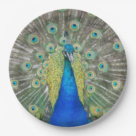 Plato De Papel Pluma de plumas de pavo real azul
