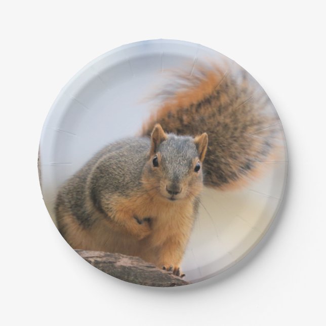 Plato De Papel Poder (Anverso)