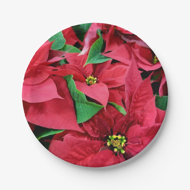 Plato De Papel Poinsettia (Anverso)