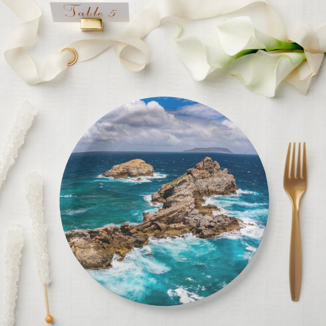 Plato De Papel Pointe des Chateaux, Grande-Terre, Guadalupe #2 (Boda)