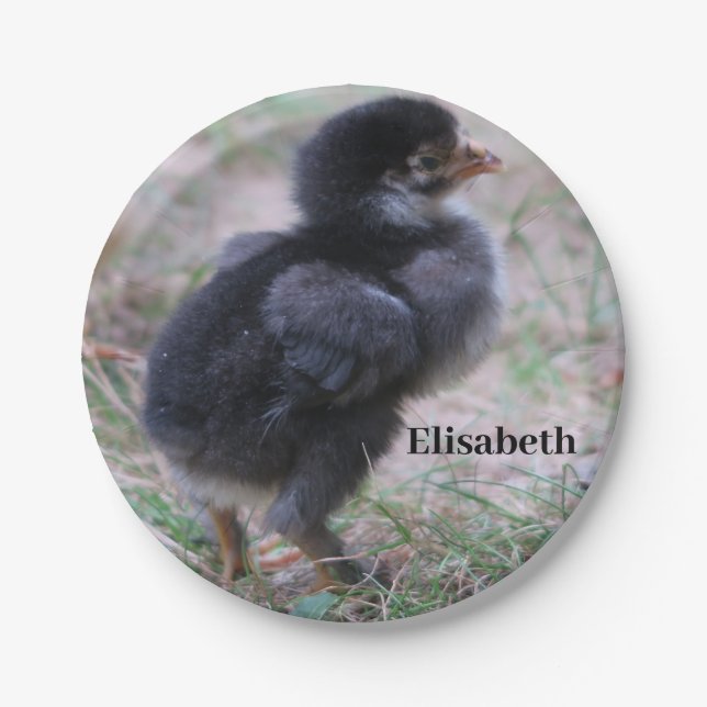 Plato De Papel pollo, pollitos, pollos, pollos, animales, aves, (Anverso)