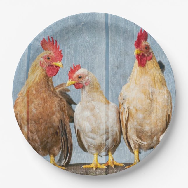 Plato De Papel Pollos y gallinas (Anverso)