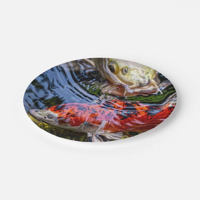 Plato De Papel Pond Koi Fish (Angular)