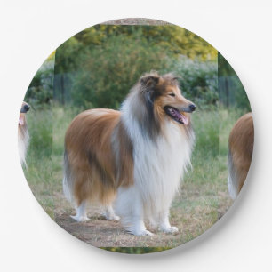 Plato De Papel por completo 5 collie.png ásperos