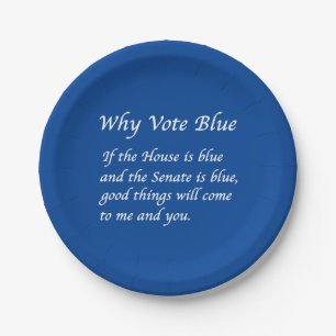 Plato De Papel Por qué votar azul en 2024