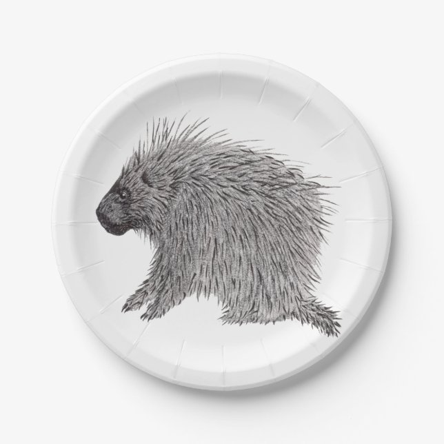 Plato De Papel Porcupina (Anverso)
