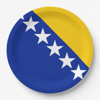 Plato De Papel Posavasos de bandera de Bosnia-Herzegovina