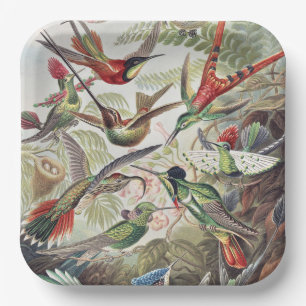 Plato De Papel Póster Vintage Colorido de Colibrí de Ernst Haecke