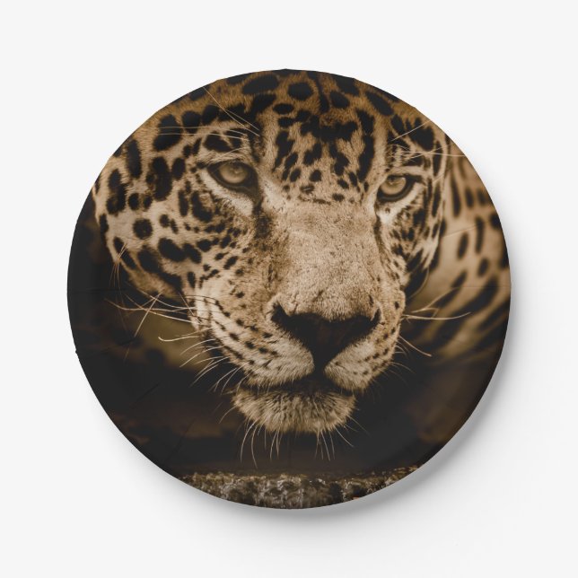 Plato De Papel Prato de Papel Via Pantanal Onça (Anverso)