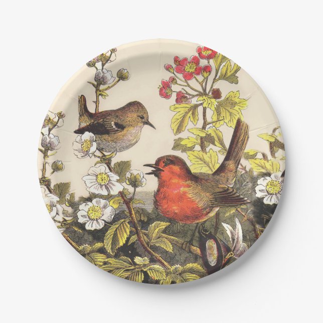 Plato De Papel Primavera Robin Birds Red Birds (Anverso)