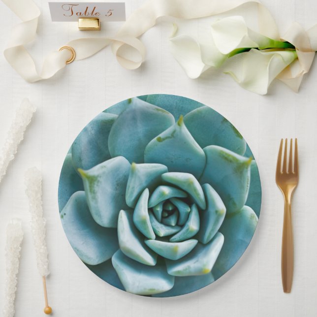 Plato De Papel Primer plano de suculenta (Boda)