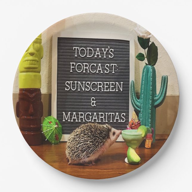Plato De Papel Protector Solar de Erizo y Margaritas (Anverso)
