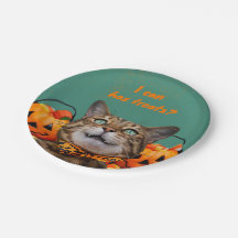 Puedo Tener Placas De Papel Redondo De Tratamiento