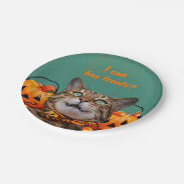 Plato De Papel Puedo Tener Placas De Papel Redondo De Tratamiento