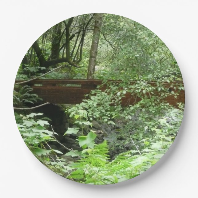 Plato De Papel Puente Muir Woods I (Anverso)