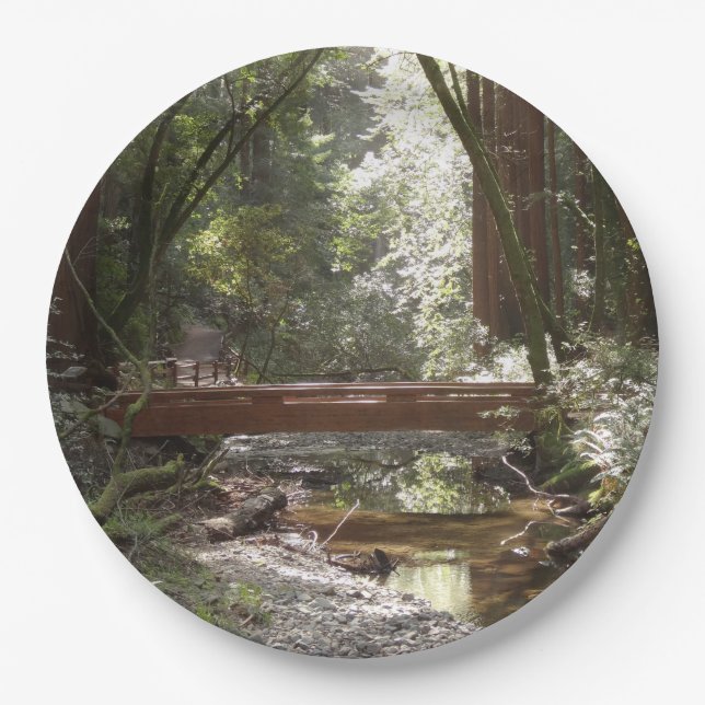 Plato De Papel Puente Muir Woods II (Anverso)