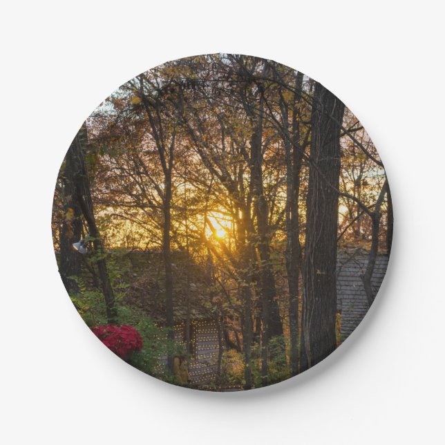 Plato De Papel Puesta de sol en Sdc Woods (Anverso)