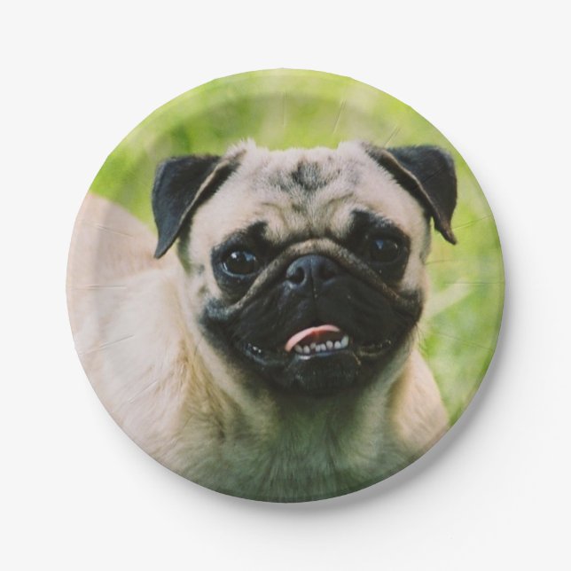 Plato De Papel pug-13 (Anverso)