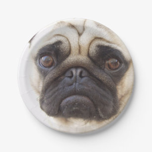 Plato De Papel pug-7