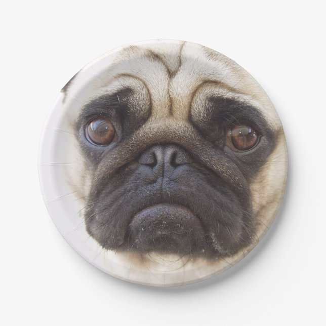 Plato De Papel pug-7 (Anverso)