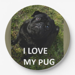 Plato De Papel pug negro amor c foto