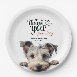 Plato De Papel Pumi Dog