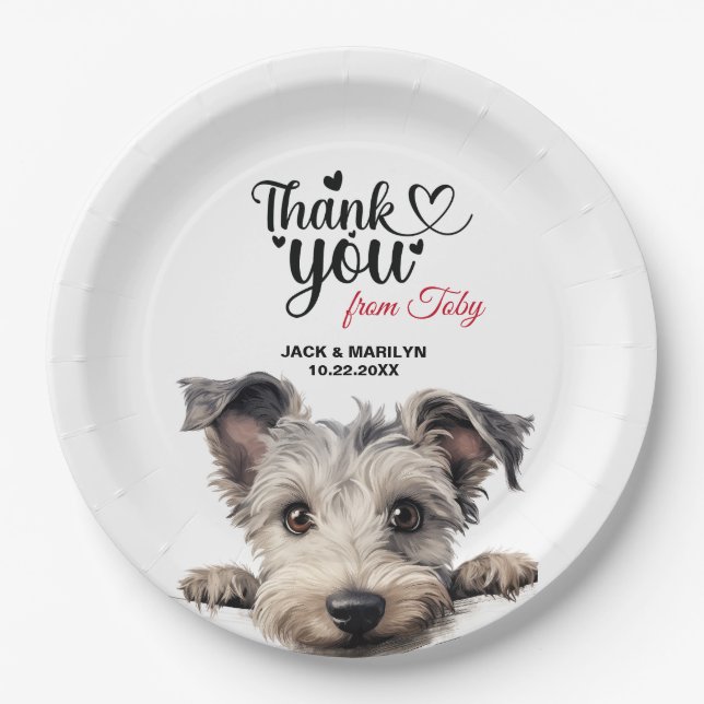 Plato De Papel Pumi Dog (Anverso)