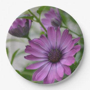 Plato De Papel Purple Daisy