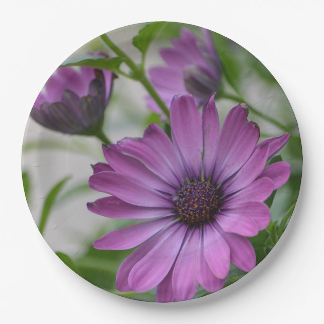 Plato De Papel Purple Daisy (Anverso)