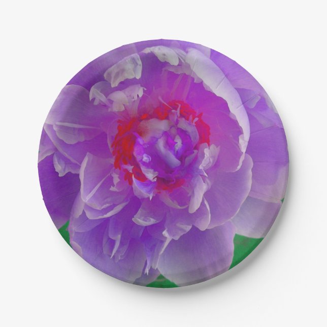 Plato De Papel Púrpura Placa Peony (Anverso)