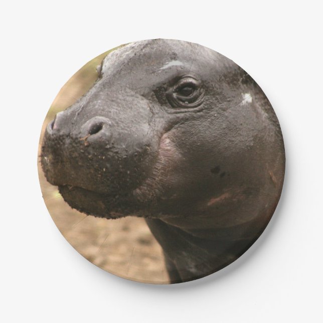 Plato De Papel pygmy-hippo-1 (Anverso)