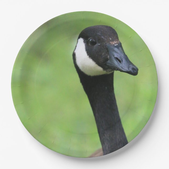 Plato De Papel ¿Qué? (Anverso)