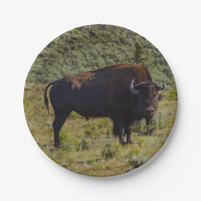 Plato De Papel Quién usted que mira (Anverso)