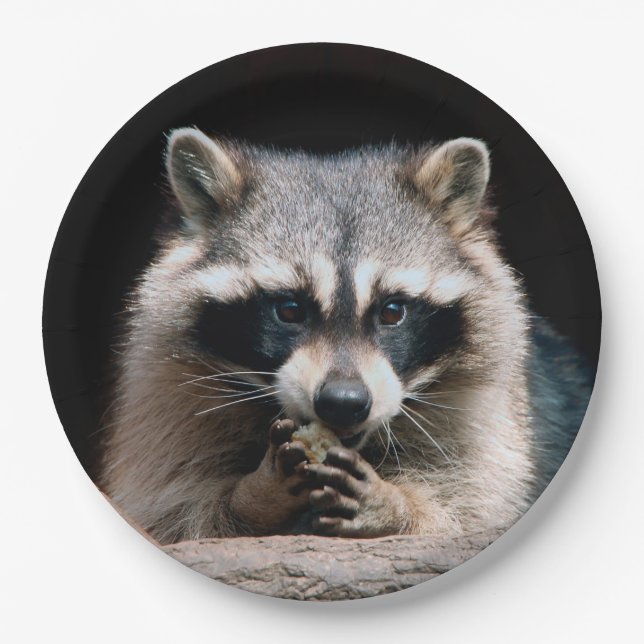 Plato De Papel Raccoon 004 (Anverso)