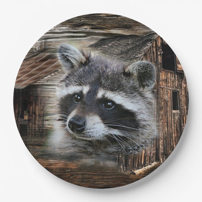 Plato De Papel Raccoon En El Antiguo Barn (Anverso)